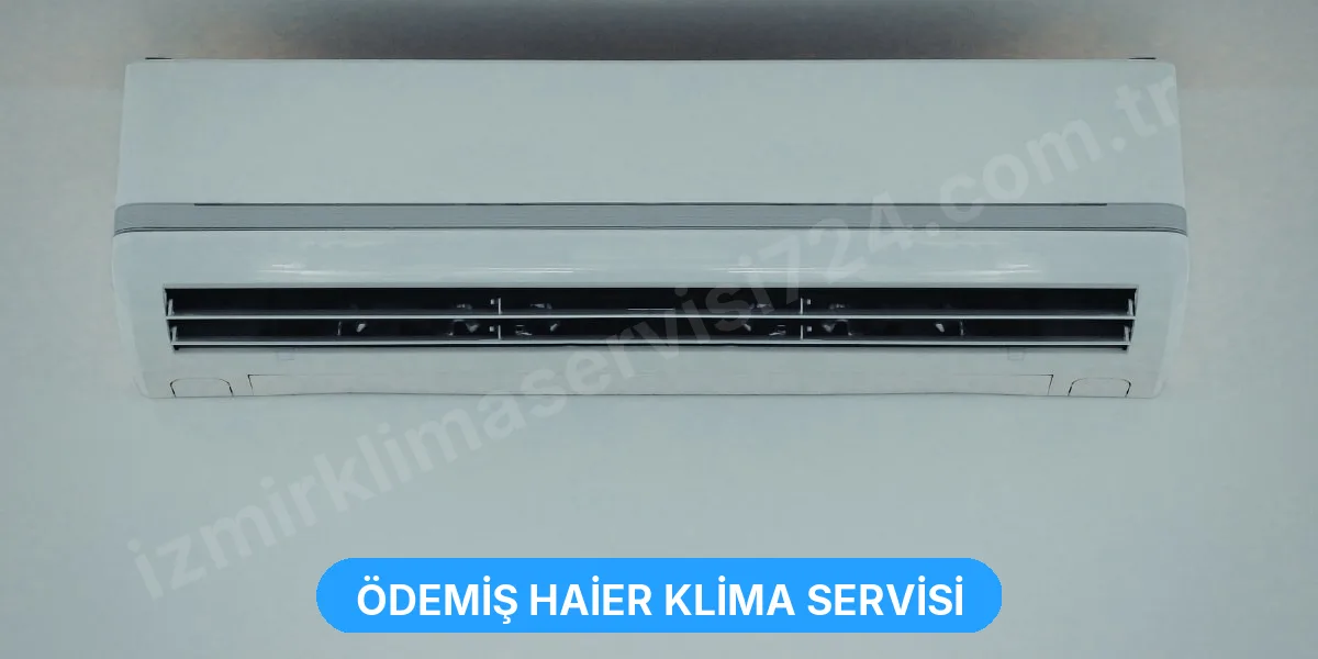 Ödemiş Haier Klima Servisi